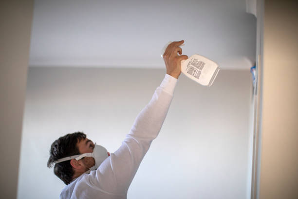 Best Same-Day Mold Removal  in Port Wentworth, GA