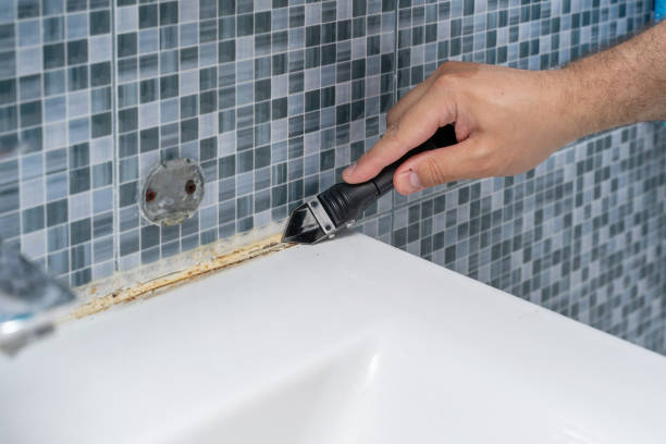 Best Mold Testing and Removal  in Port Wentworth, GA